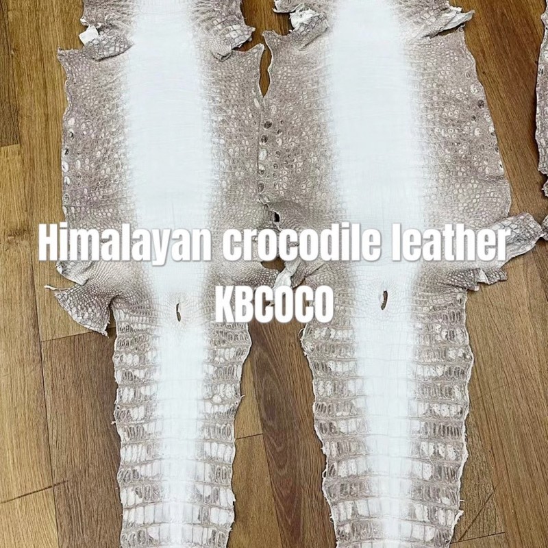 【Handmade Custom】L0*is V*t0n Himalayan Crocodile Leather Trainer Sneakers